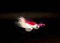 Colorful bucktail Jig heads lure hand tie deer hair and White Shad Jig Head fishing jig hooks isolated on black