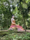 Buddha Forest