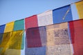 Colorful buddhist prayer flags Royalty Free Stock Photo