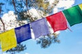 Colorful buddhist prayer flags