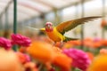 Colorful budgie bird flying in greenhouse. Generative ai
