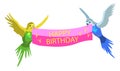 Colorful budgie birds, celebration of Birthday.