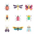 Colorful Bugs Royalty Free Stock Photo