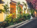 Pot plant garden in front of facades of old town in Cartagena , Colombia Royalty Free Stock Photo