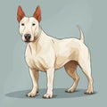 Colorful Bull Terrier Dog Vector Illustration On Dark Background