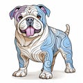Colorful Bulldog With Distinct Markings On White Background