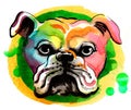 Colorful bulldog head