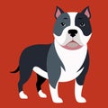 Colorful bulldog isolated vector illustration red background