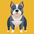 Colorful bulldog isolated vector illustration yellow background