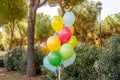 Colorful bunch of helium balloons