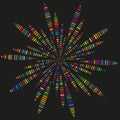 Colorful burst shape. Abstract starburst design. Vector dynamic explosion. Vibrant festival effect.