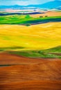 Colorful Butted Farmlands