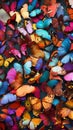 Colorful butterflies collection