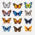 Vibrant Hyper-realistic Butterfly Illustrations On Transparent Background