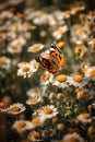 Colorful butterflies fly over daisy flowers. Generative illustration of AI. Digital visual content