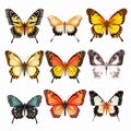 Colorful Butterflies: Golden Age Illustrations On White Background