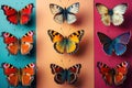 Colorful butterflies isolated on a blue, orange, and pink background. Royalty Free Stock Photo