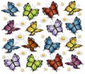 Colorful Butterflies pattern. Vector background illlustrations