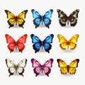 Colorful Butterflies: Realistic Portrayal Of Light And Shadow