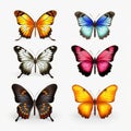 Colorful Butterflies: Realistic Portrayal Of Light And Shadow