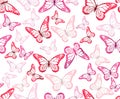 Colorful Butterflies Seamless Pattern Royalty Free Stock Photo