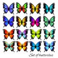 Colorful butterflies set. Butterfle silhouette.