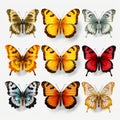 Colorful Butterflies Set: Hyper-realistic Vector Illustration Royalty Free Stock Photo