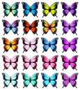 Colorful butterflies set. Vector Royalty Free Stock Photo