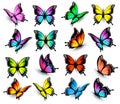 Colorful butterflies set. Royalty Free Stock Photo