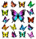 Colorful butterflies set. Royalty Free Stock Photo