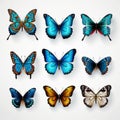 Colorful Butterflies Set Vector Symbol On White Wall Royalty Free Stock Photo