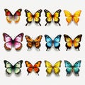 Realistic Colorful Butterfly Set On White Background