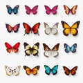 Realistic Portrayal Of Colorful Butterflies On Transparent Background