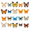 Colorful Butterflies Vector Set: Realistic Impression Of Nature