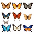 Colorful Butterflies On White Background: Detailed And Eye-catching