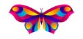 Colorful butterfly. Bright abstract insect.