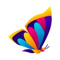 Colorful butterfly. Bright abstract insect.