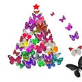 Colorful butterfly christmas card