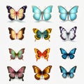 Colorful Butterfly Collection: Realistic Portrayal Of Light And Shadow
