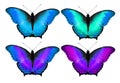 Colorful butterfly in cool tone, Isolated background