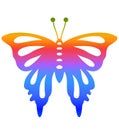 Colorful Butterfly design Royalty Free Stock Photo