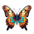 Colorful Butterfly Dynamic Beauty