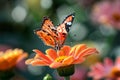 Colorful Butterfly flower. Generate Ai Royalty Free Stock Photo