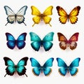 Colorful Butterfly Flyers: Realistic Animal Portraits In Light Indigo And Light Gold