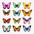 Colorful Butterfly Graphics Realistic 3d Designs On Transparent Background