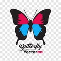 Colorful Butterfly illustration vector collection