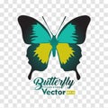 Colorful Butterfly Illustration Vector Collection