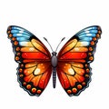 Colorful Butterfly Living Rainbow Royalty Free Stock Photo