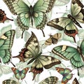 A colorful butterfly pattern with various shades of blue, green, and red. The butterflies are arranged in a way that Royalty Free Stock Photo