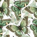 A colorful butterfly pattern with various shades of blue, green, and red. The butterflies are arranged in a way that Royalty Free Stock Photo